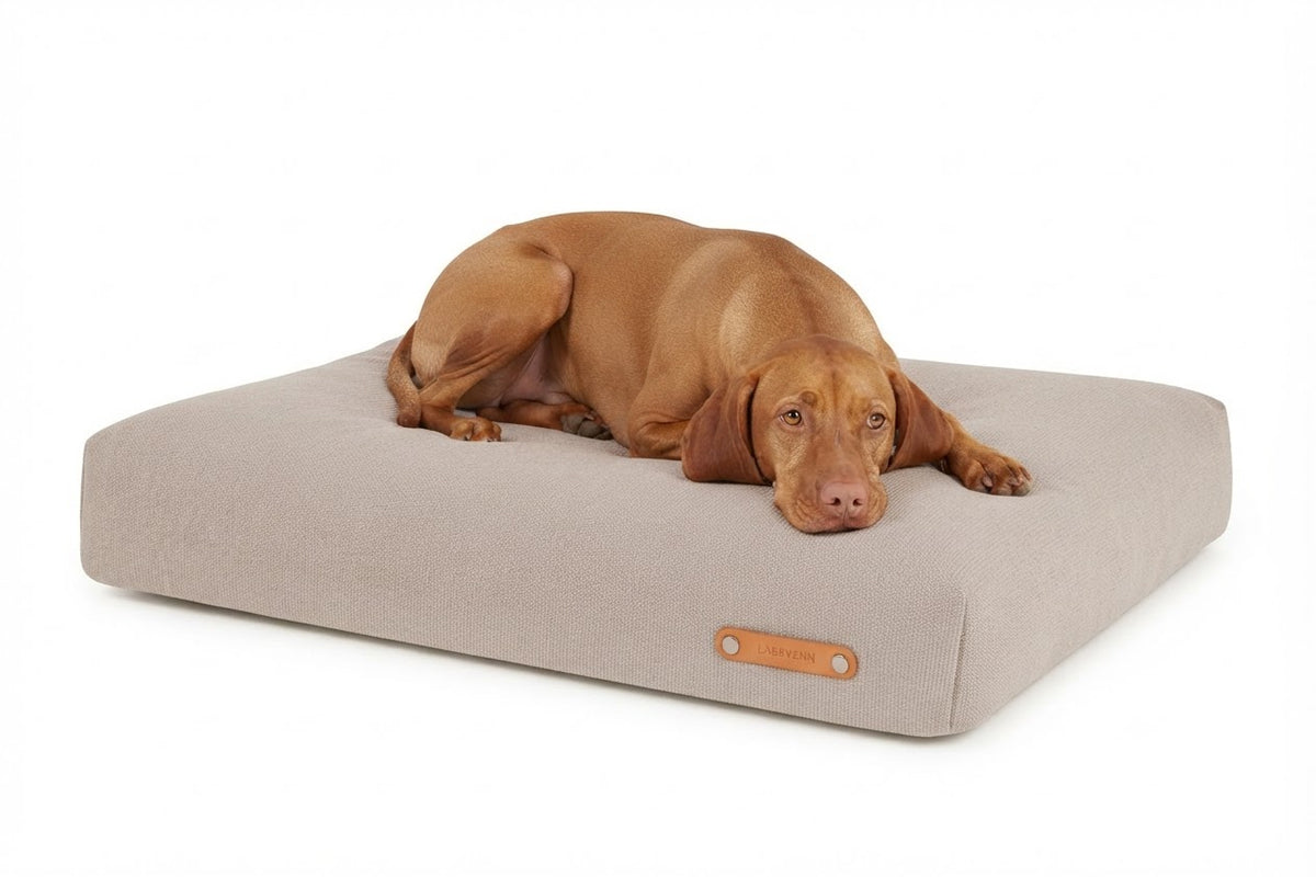 Bosca cojín beige con perro