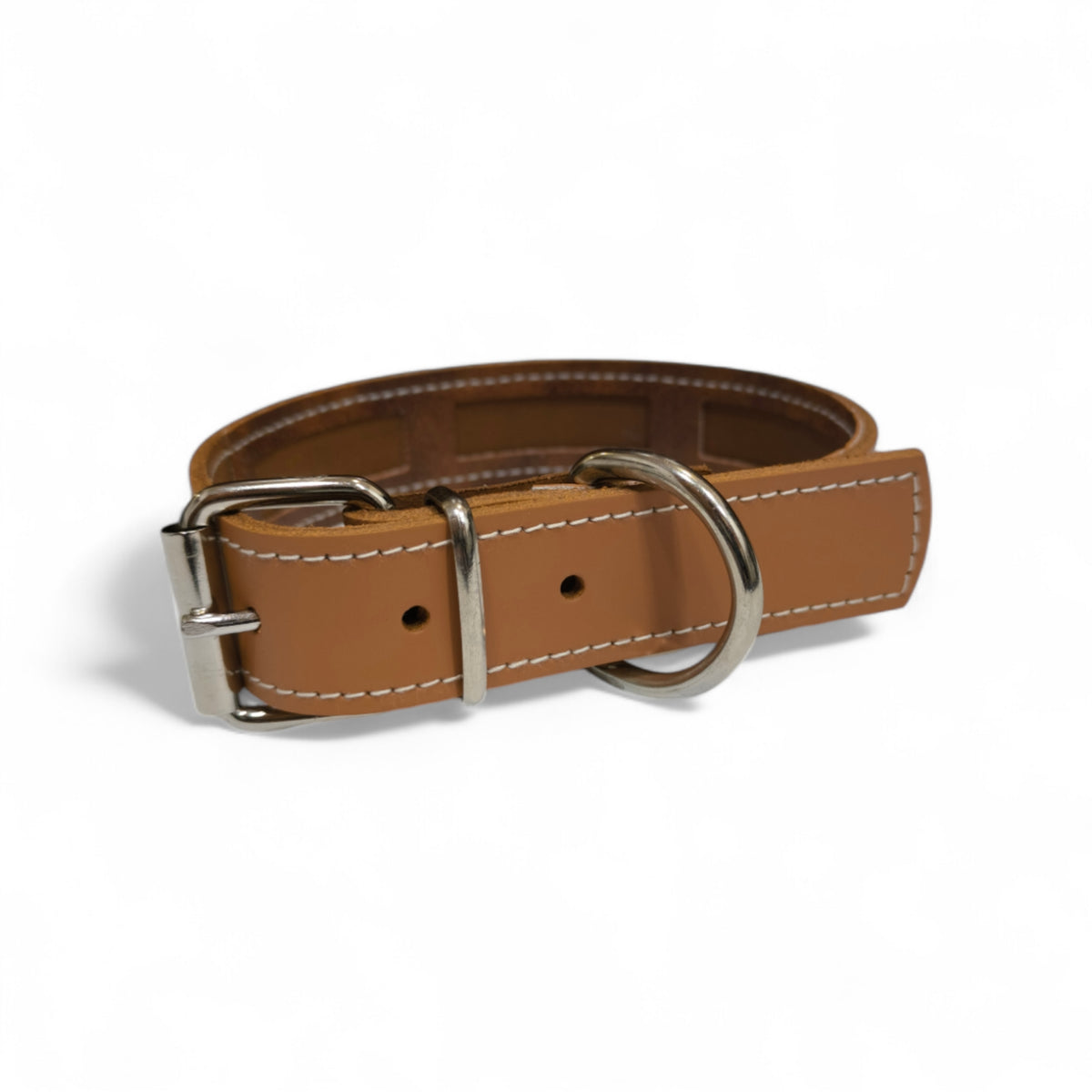 Collar Protec para perro