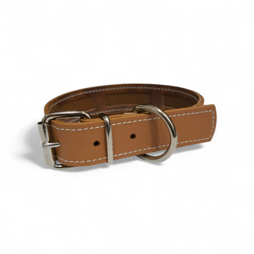Collar Protec para perro