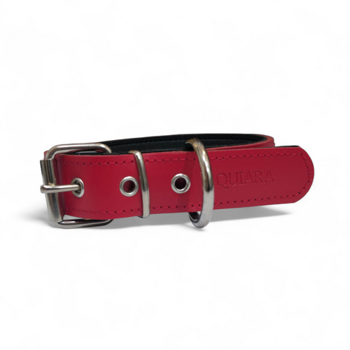 Collar Relax Premium para perro