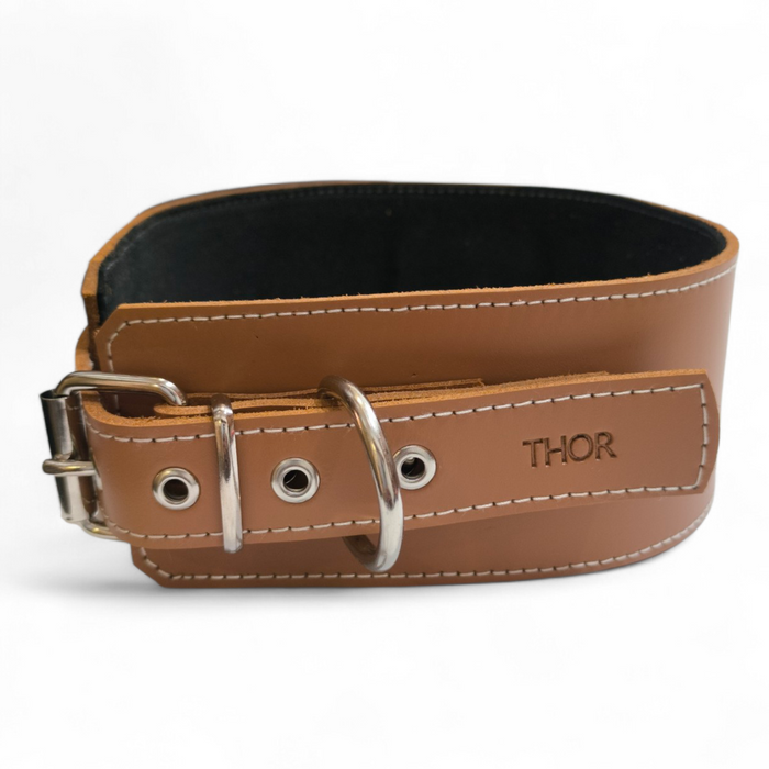 Supreme Wide Dog Collar