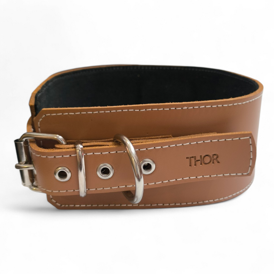 Supreme Wide Dog Collar