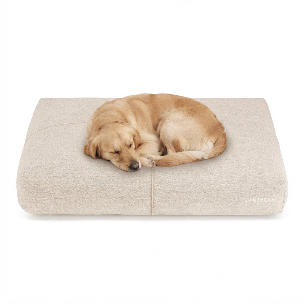 Finno cojín beige con perro