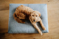 Finno Cushion - Anthracite 