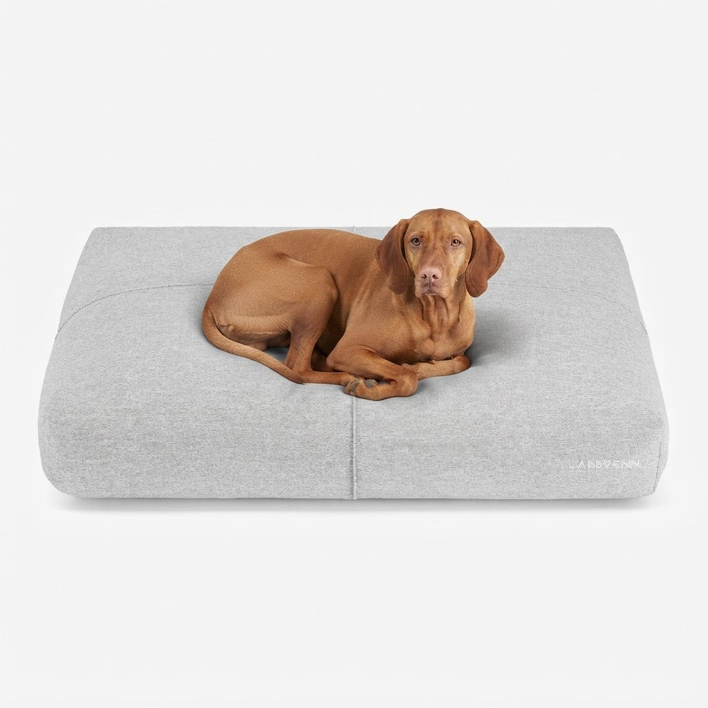 Finno cojín gris con perro