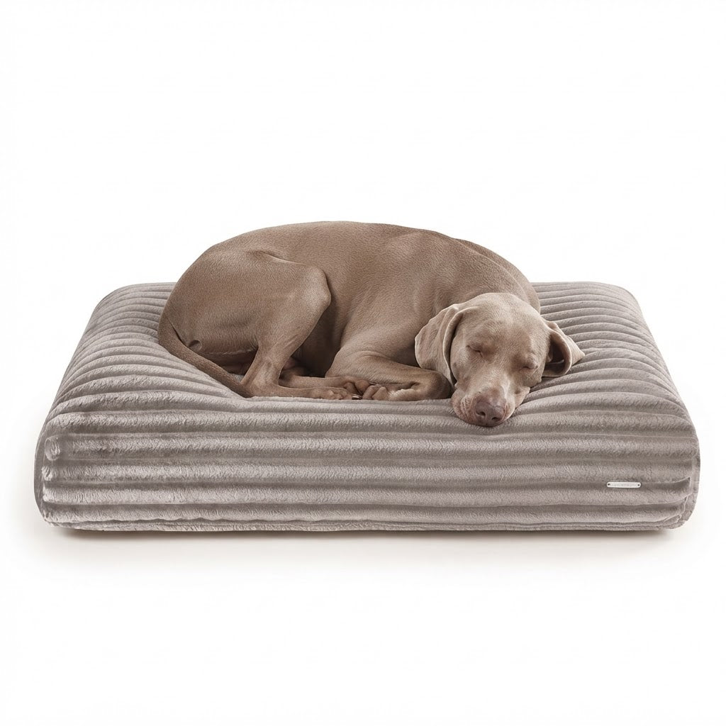 Furo cojín beige con perro