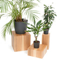 Floor Planter Podium Wooden Cubes (Set of 3)