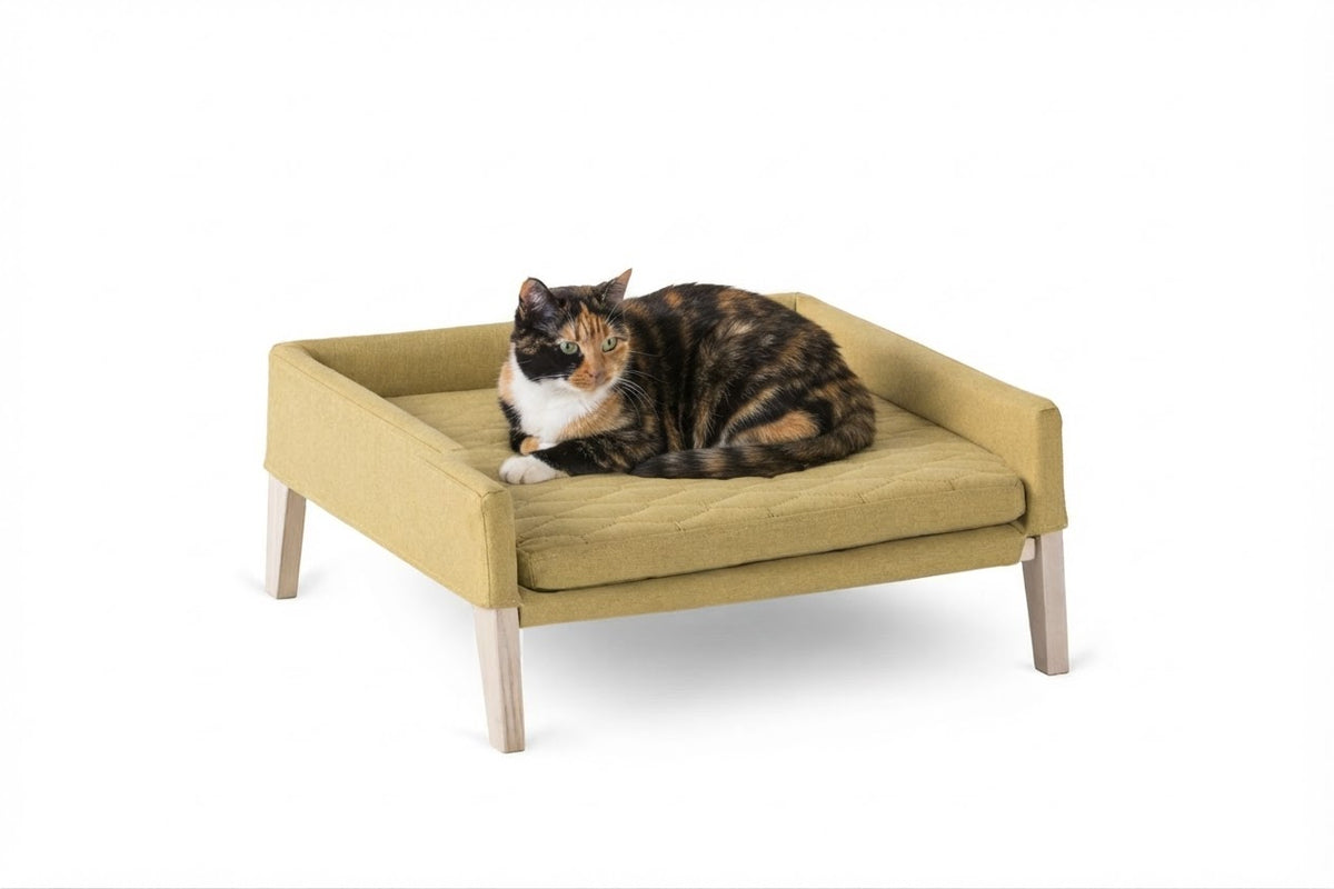 Lulu cama miel con gato