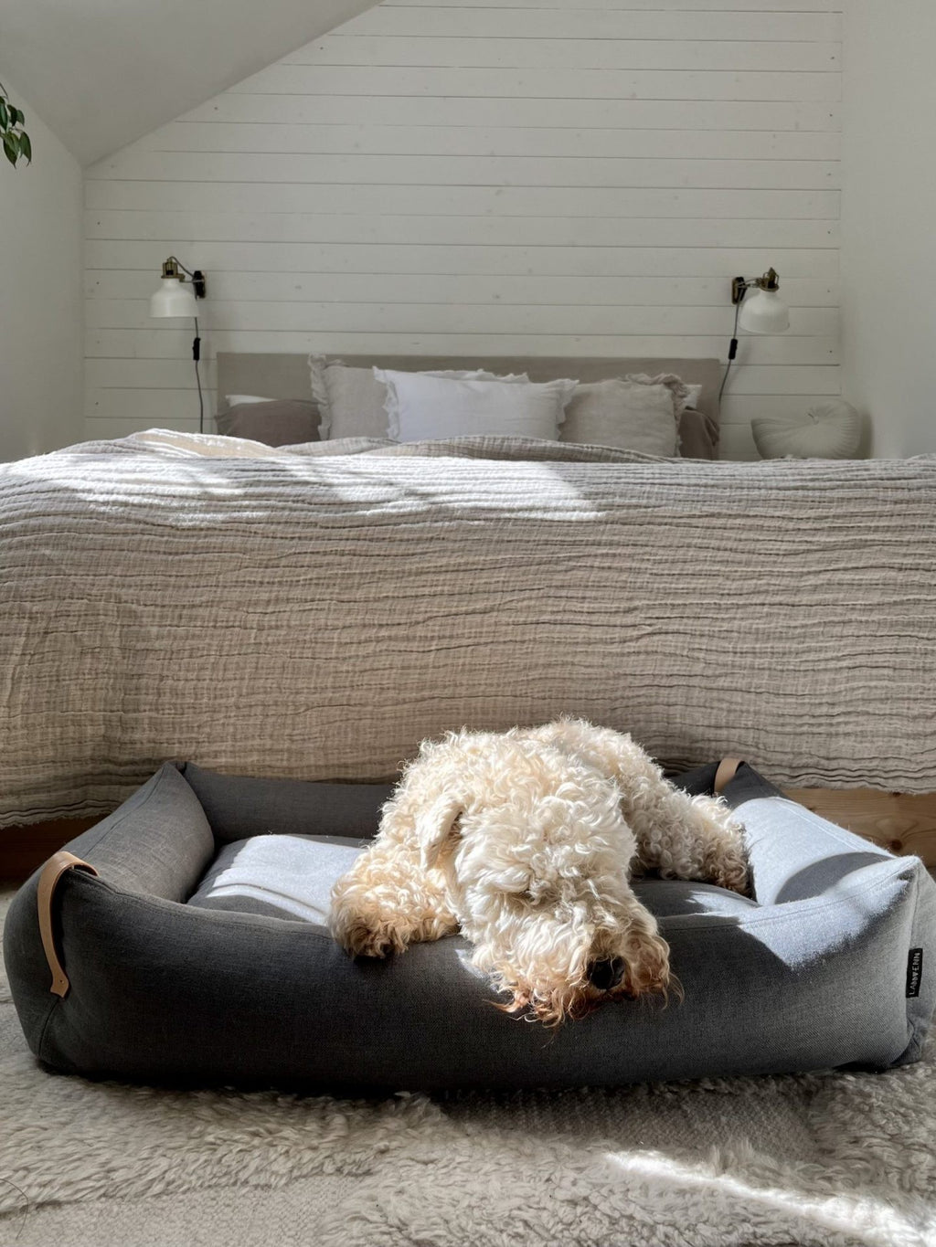 Moe Dog Bed - Light Anthracite 