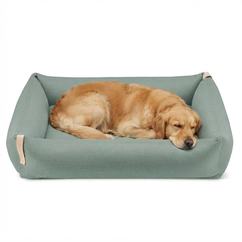 Moe cama verde azulado con perro