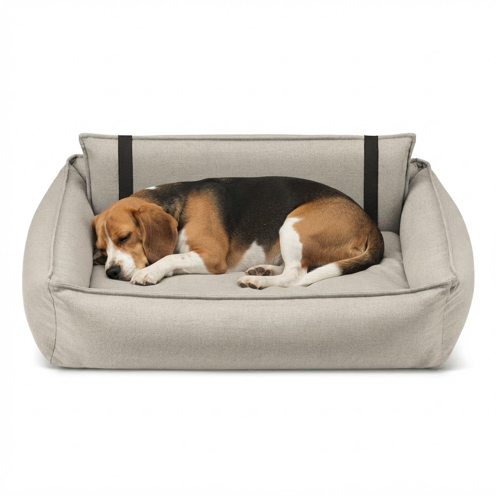 Orteo cama beige con perro
