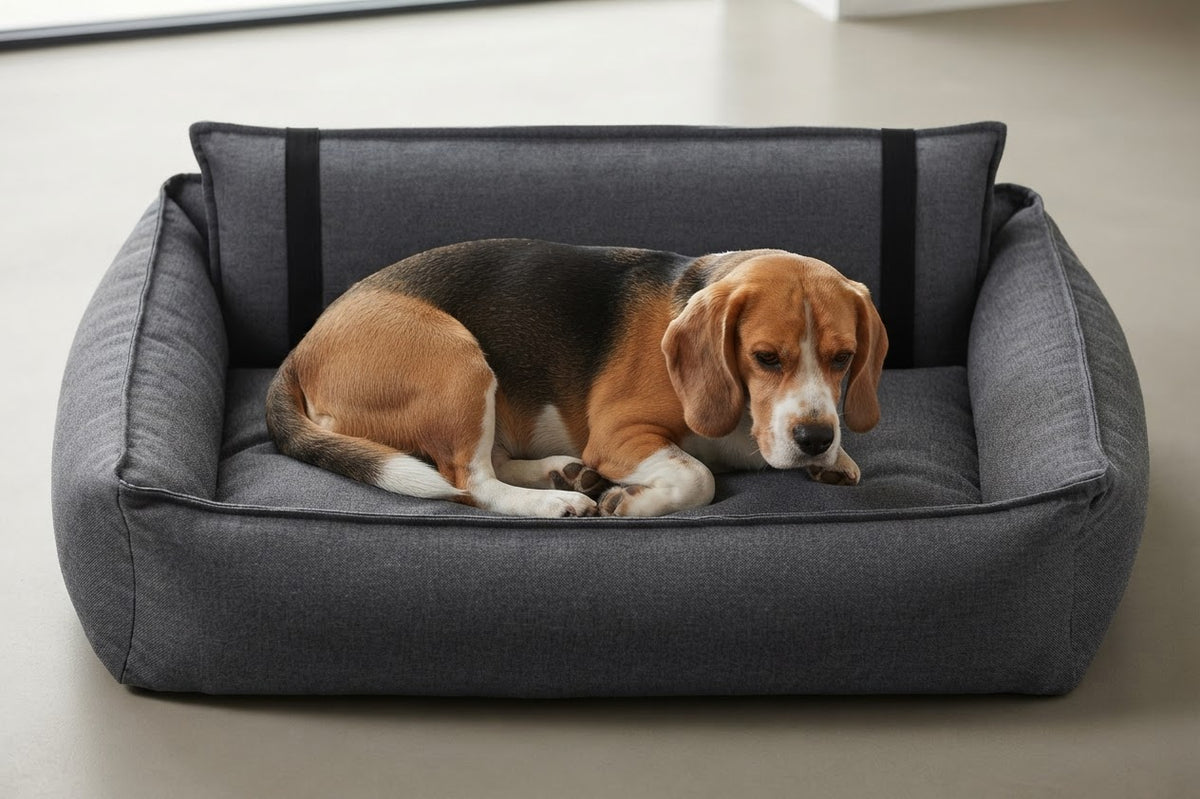 Orteo cama gris oscuro con perro
