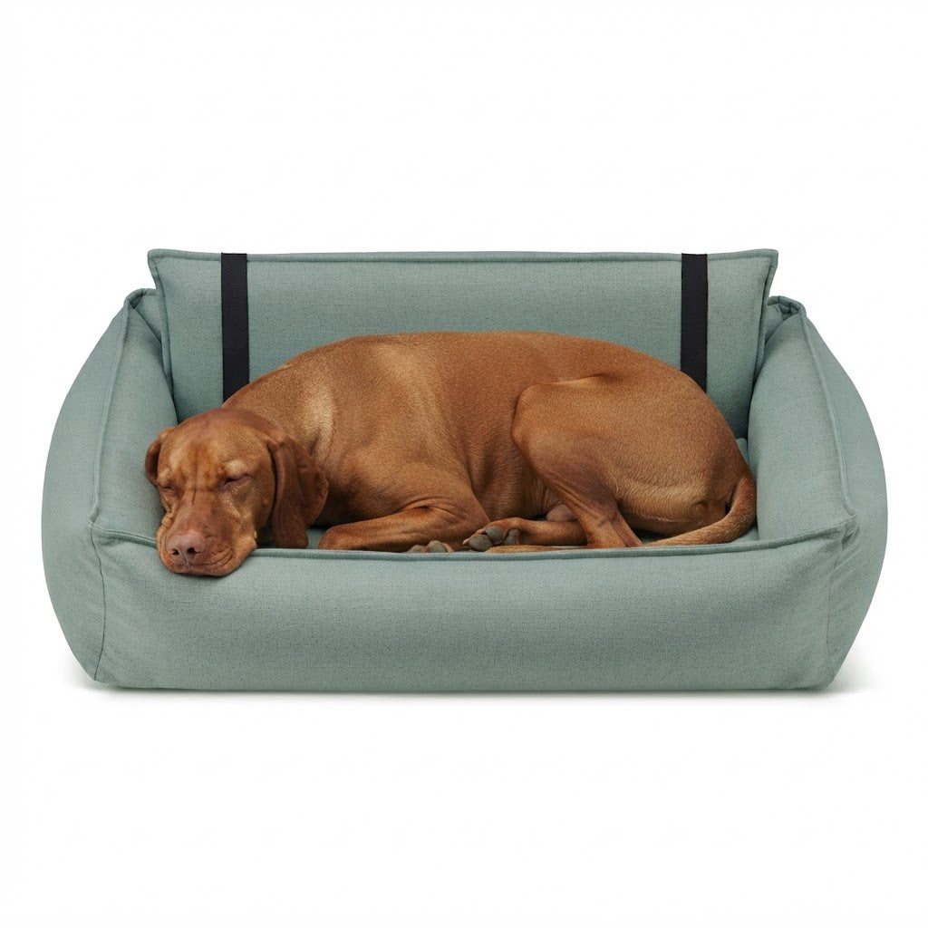 Orteo cama verde azulado con perro