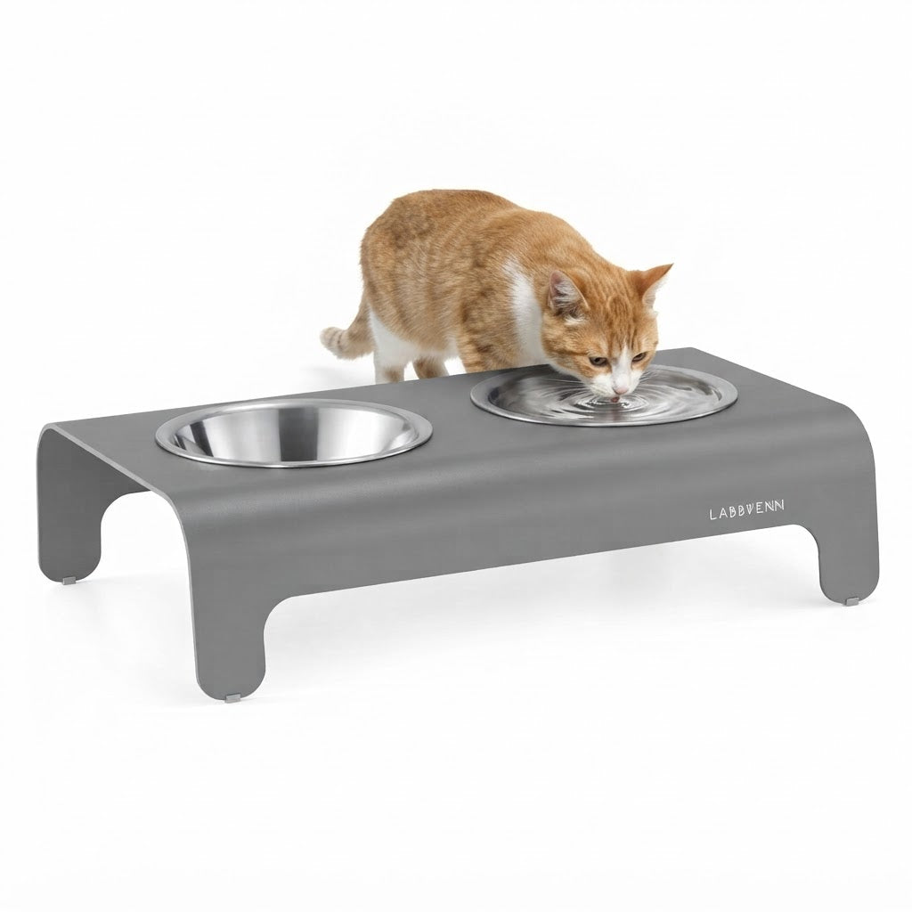 Rico comedero gris con gato