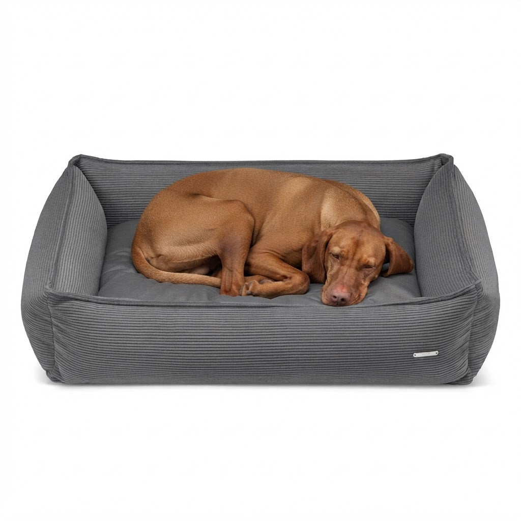 Strippo cama gris oscuro con perro