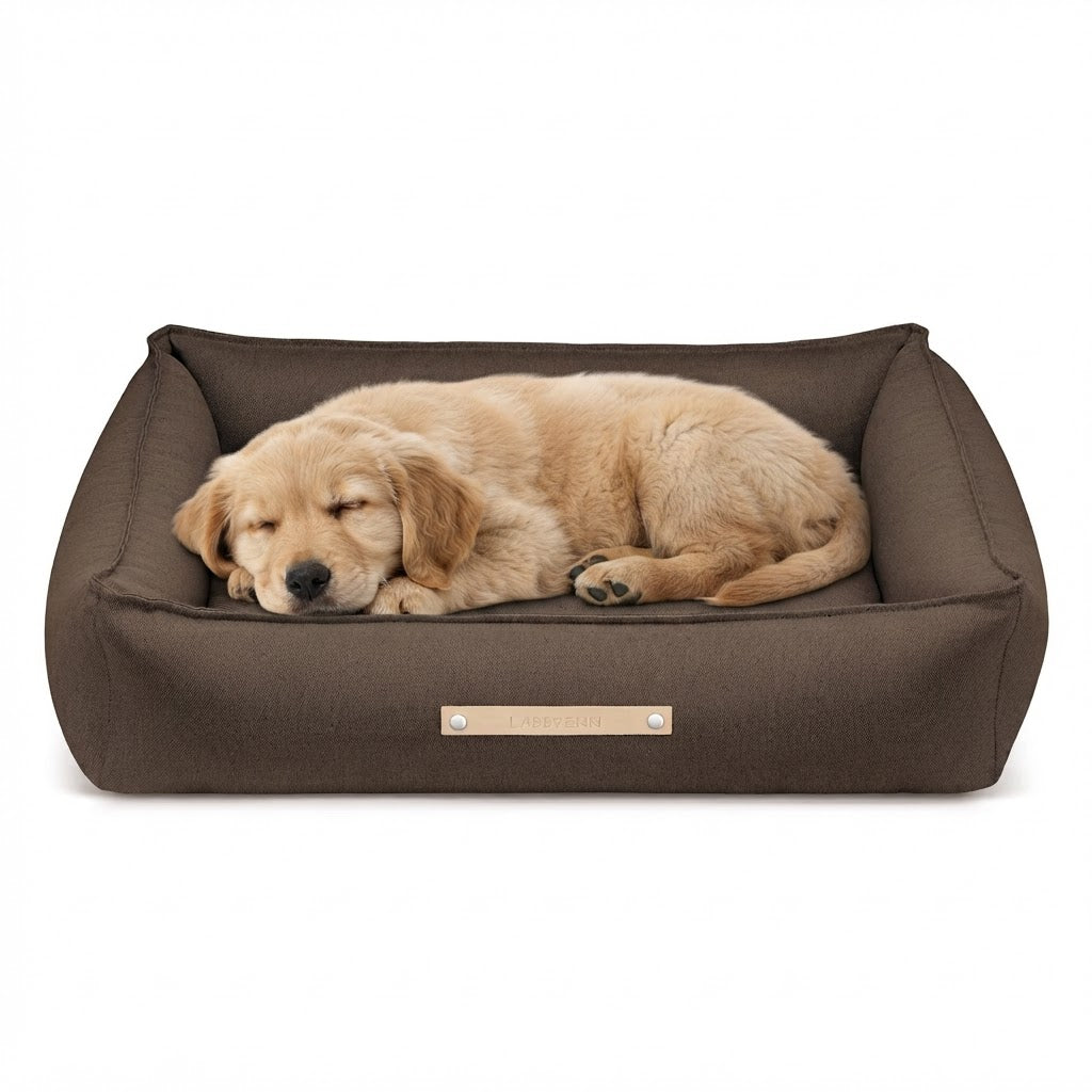 Töve cama marrón con perro