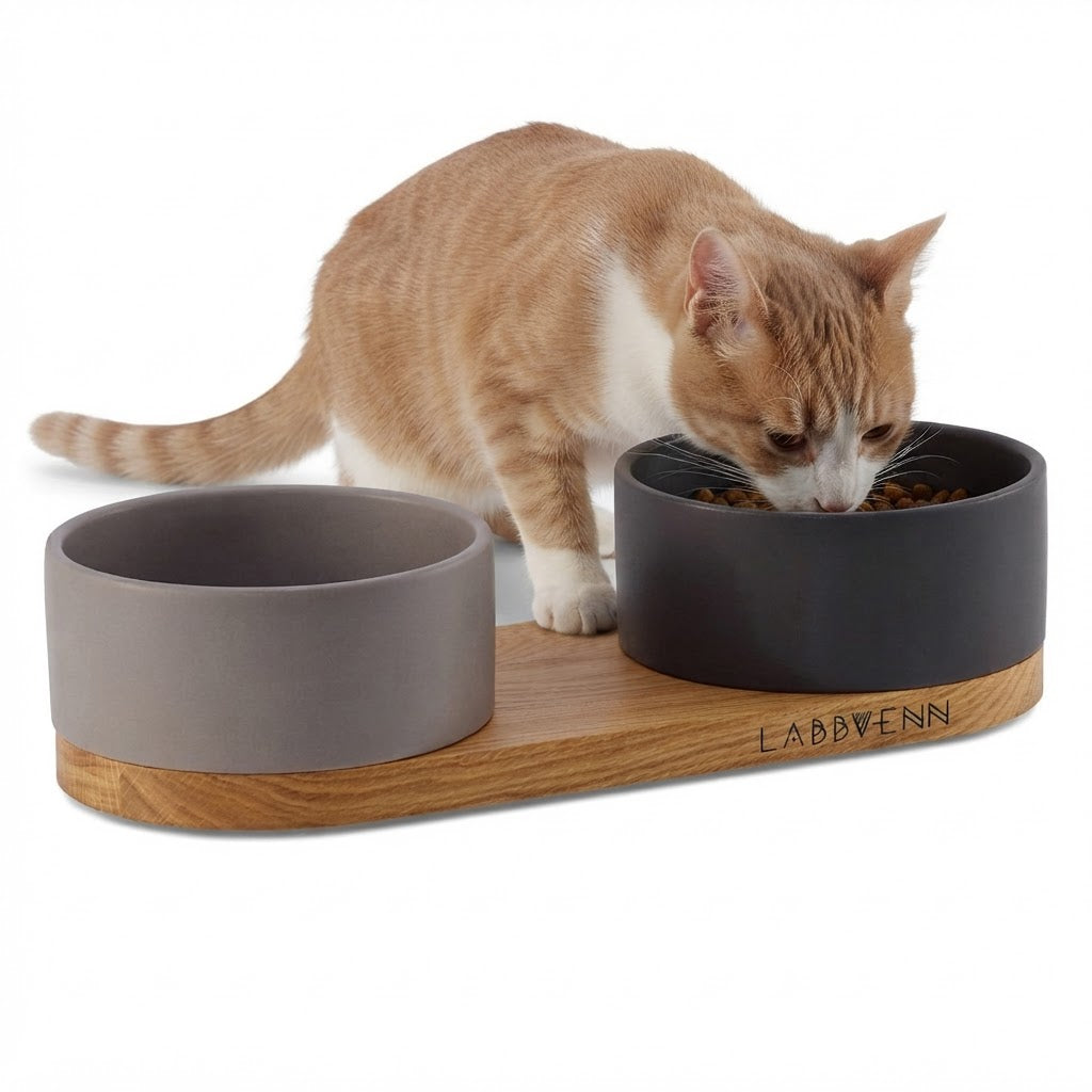 Vuku comedero negro y cacao con gato