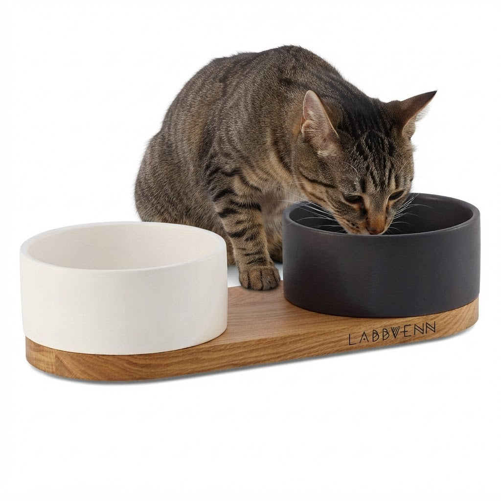 Vuku comedero doble negro y blanco con gato